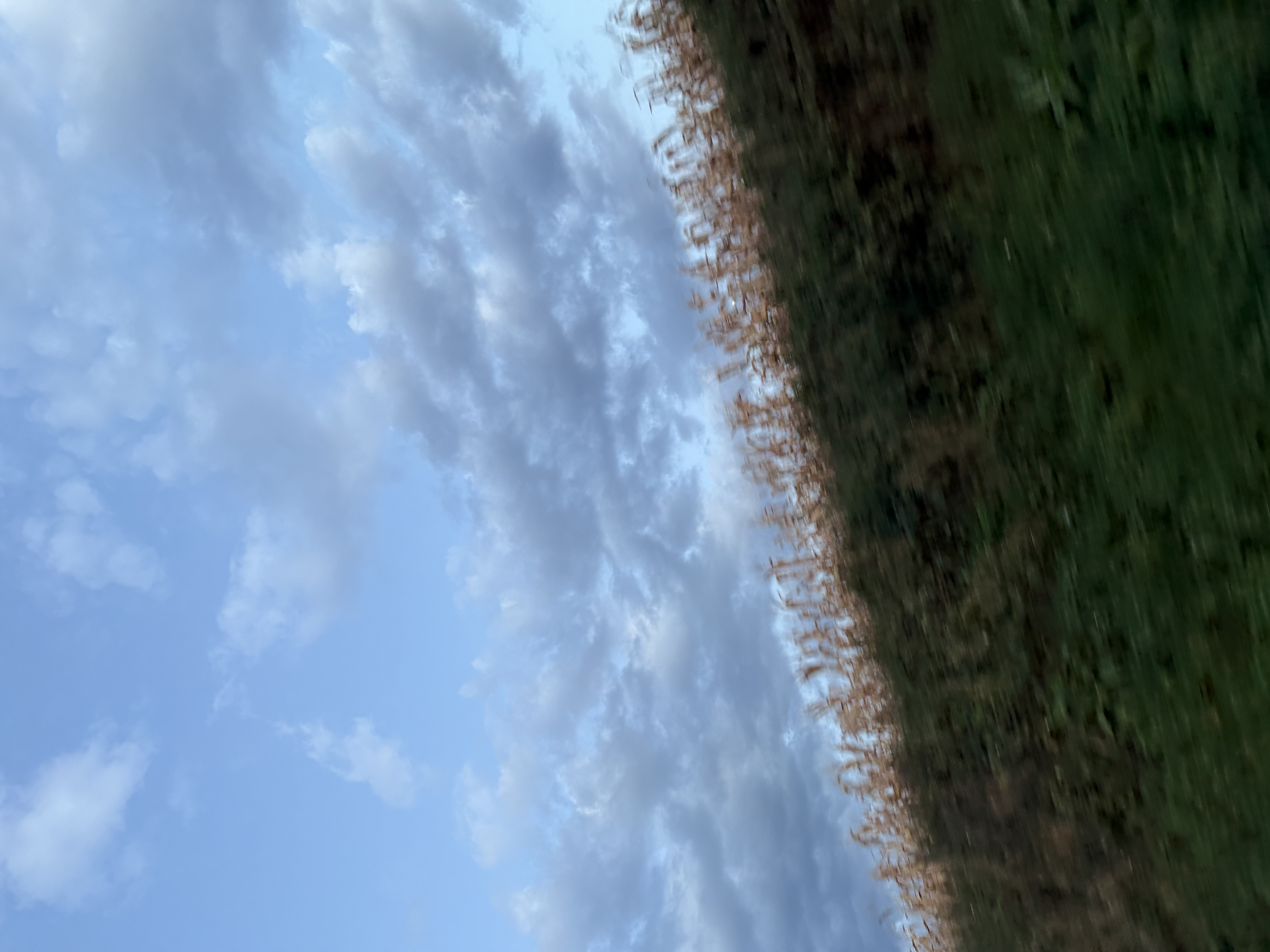 Blue sky and clouds over a tilted grassy slope